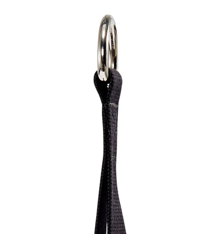 hanging ab straps black