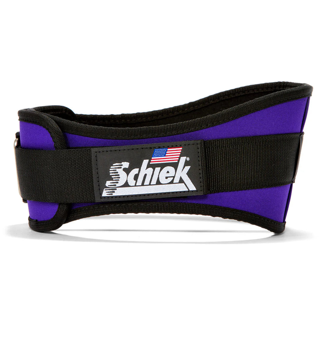 Model 2006 Lifting Belt