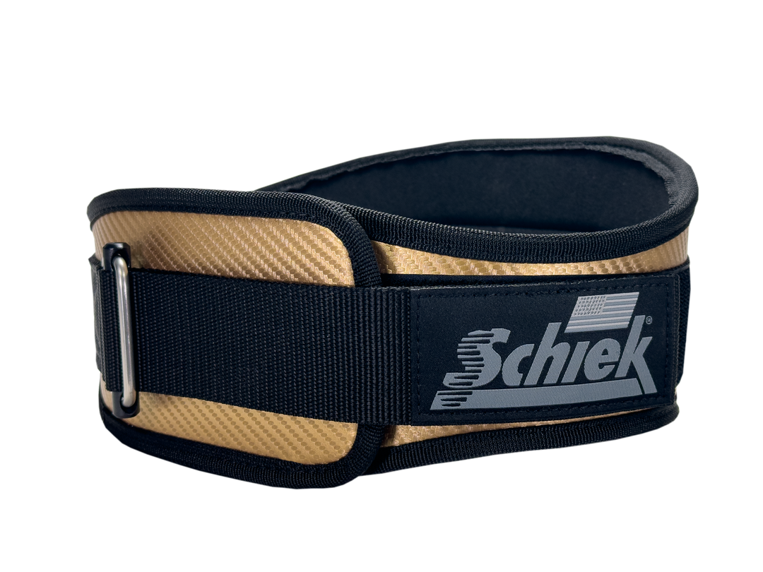 Schiek Carbon Fiber Lifting Belt - Top Choice for Quality