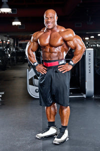 Model 3006 Power Lifting  Belt