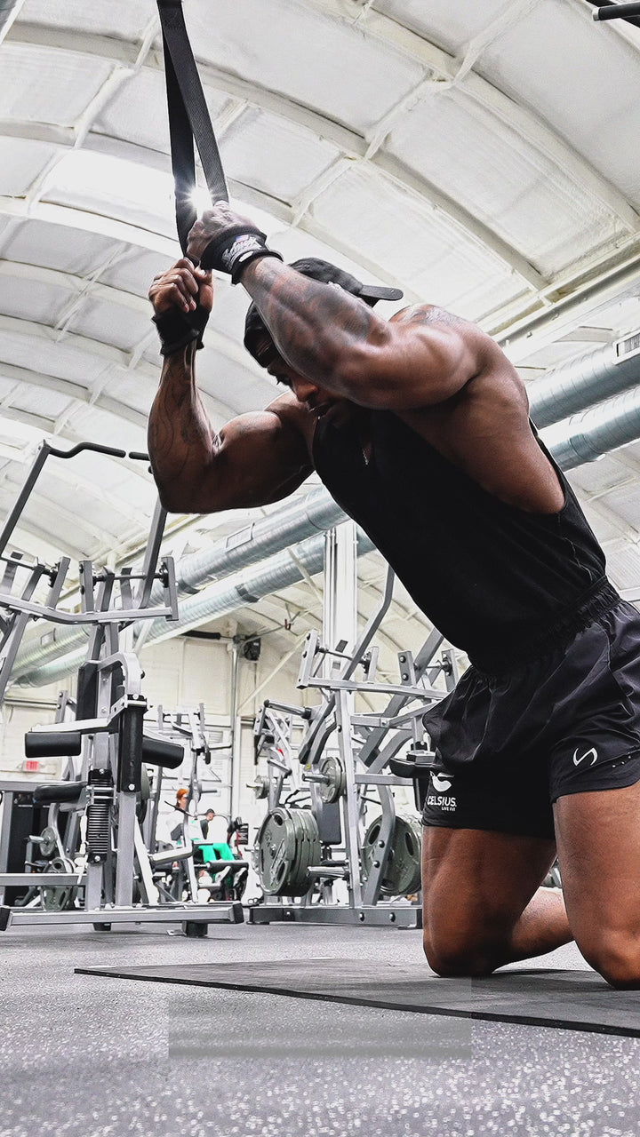 1400 Schiek Ab Strap for Cable Machines